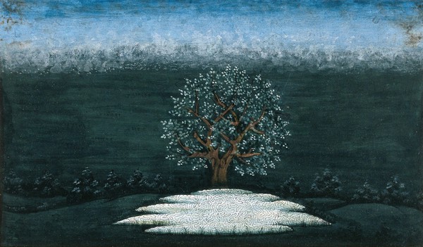 A tree beside a pool of water (?). Gouache painting by an Indian artist.