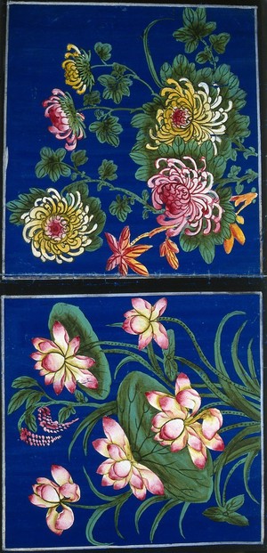 view Chrysanthemums and lotus flowers. Gouache painting by an Indian artist.
