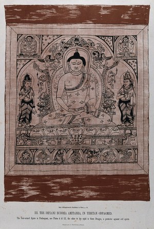 view The Dhyani Buddha Amitabha. Chromolithograph.