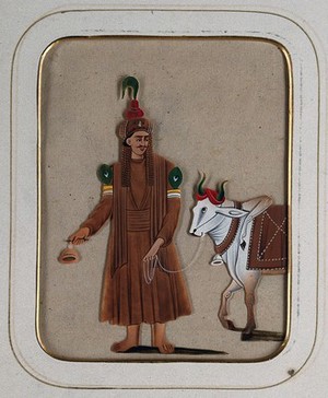 view A man wearing a brown garment with peacock feathers on his arms, leading a cow. Gouache painting on mica by an Indian artist.