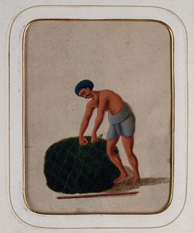 A gardener tying a bundle of grass. Gouache painting on mica by an Indian artist.