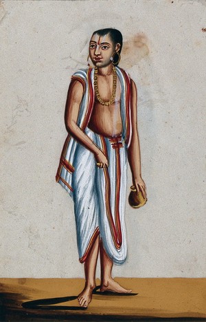 Brahmin 