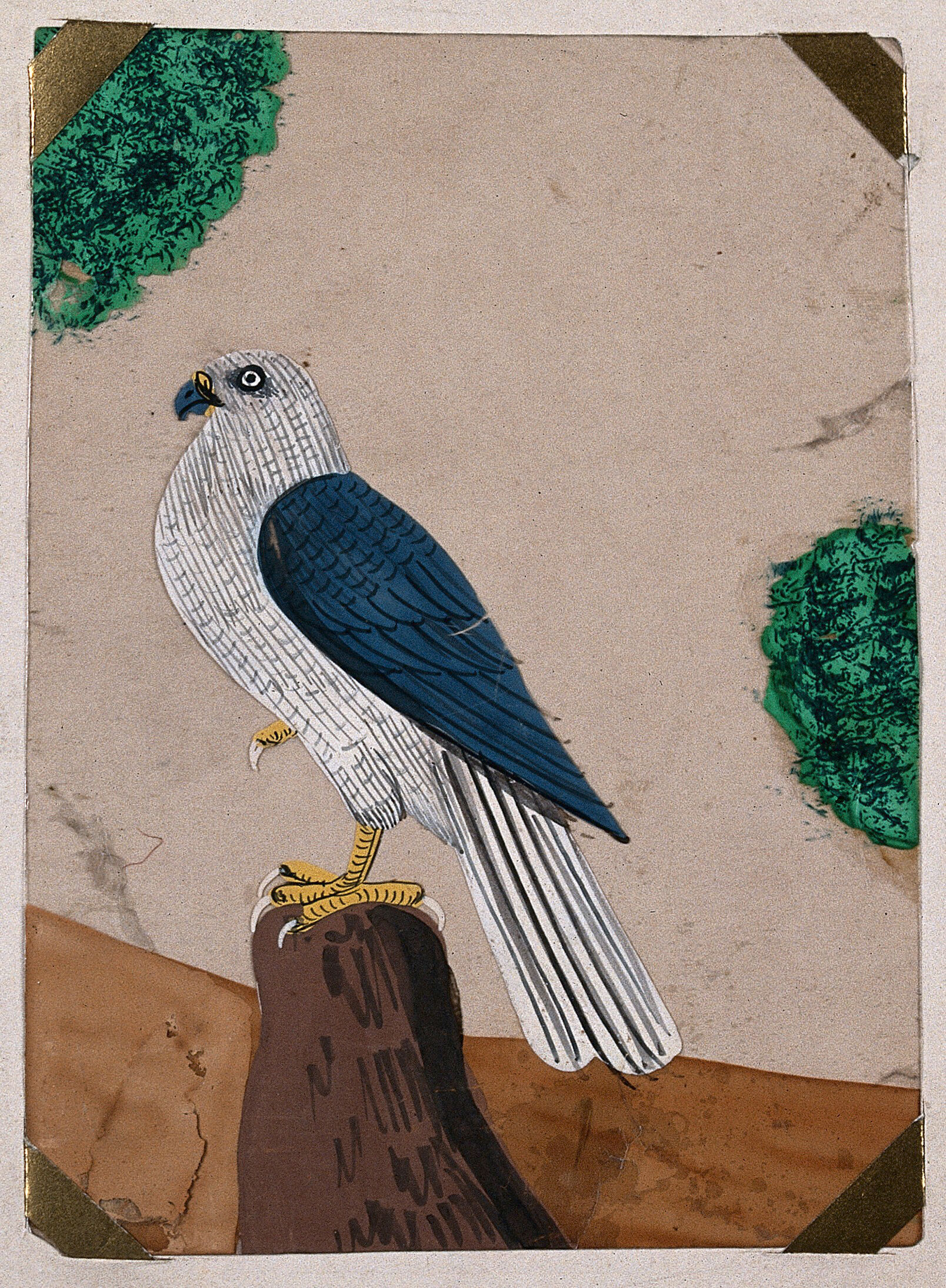 A Falcon Perched On Top Of A Rock Gouache Painting On Mica By An