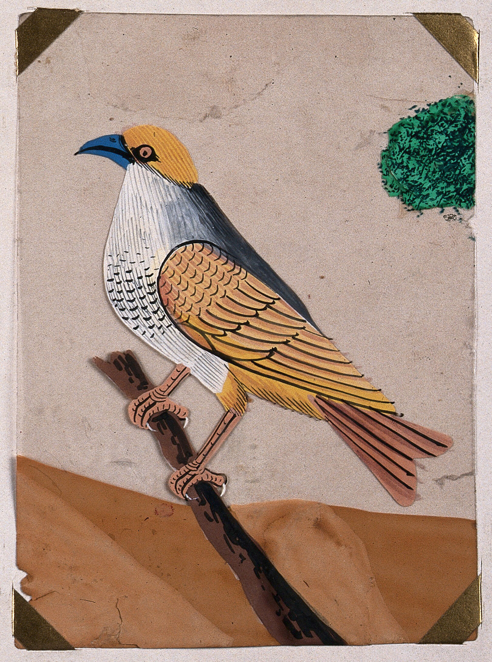 A Blue Beaked Yellow Winged Bird Gouache Painting On Mica By An