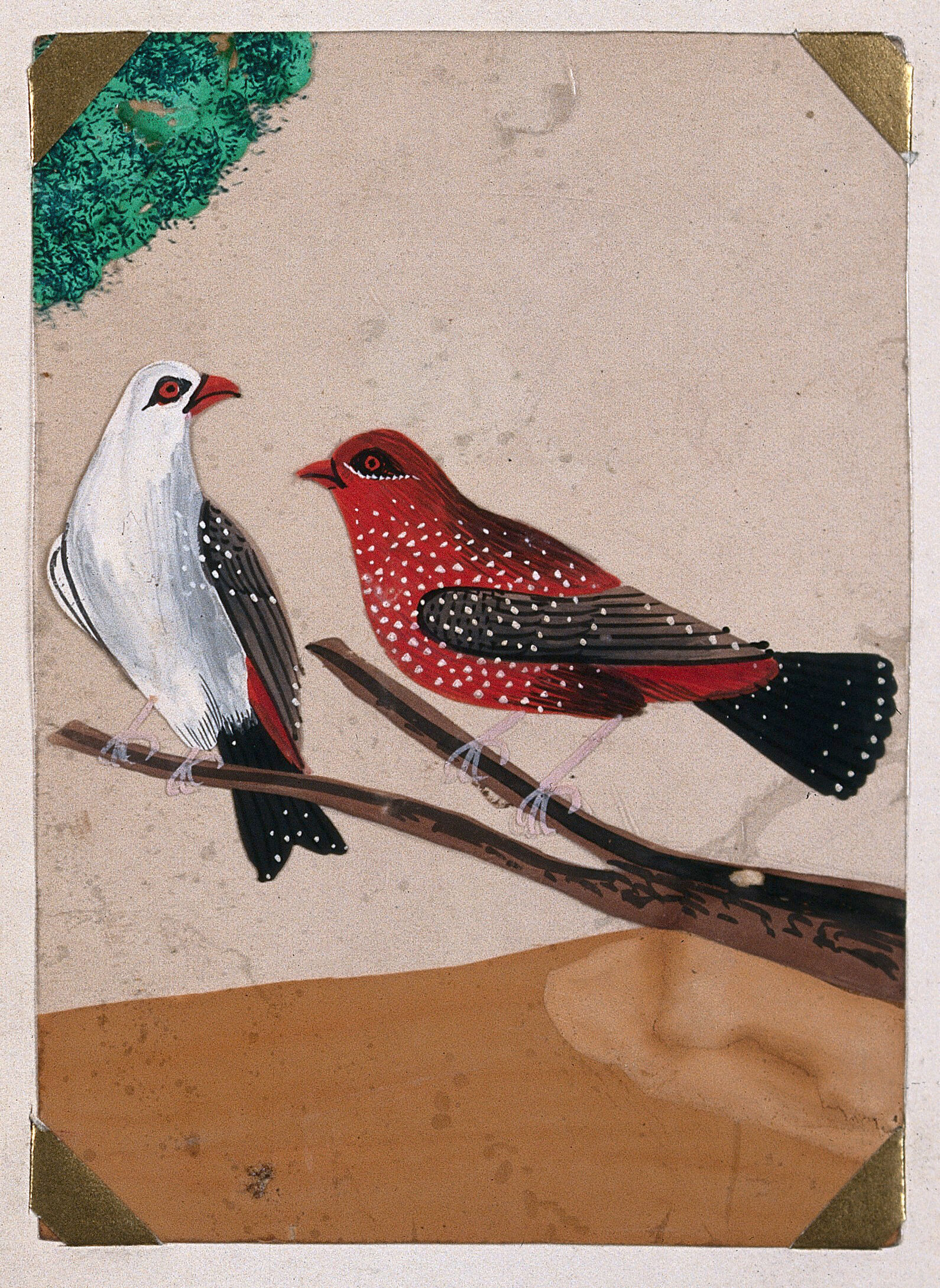Two Birds A Red Brown White And Black Spotted Bird And A White