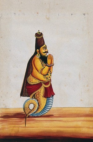 view A maharishi (Patañjali) with the head and torso of a man and a tail of a serpent or fish, with hands joined in reverence. Gouache painting by an Indian artist.
