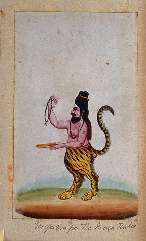 view Vyaghrapada, a maharishi with the head and torso of a man and legs and tail of a tiger, holding a necklace and a dish. Gouache painting by an Indian artist.