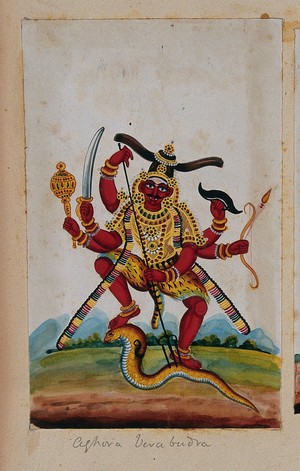 view Vīrabhadra with six arms, killing a snake with a trishul (trident). Gouache painting by an Indian artist.