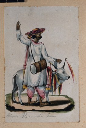 A religious man carrying a drum, standing next to a cow. Watercolour drawing by an Indian artist.