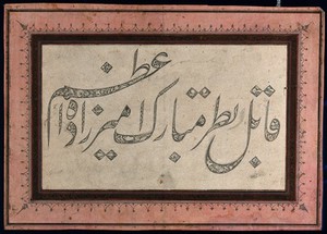 view Animals and flowers within the outlines of Gulzār script. Engraving by an Indian artist, late 1800s.