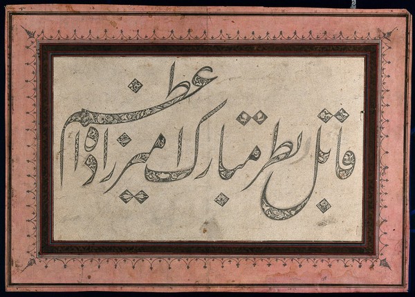 Animals and flowers within the outlines of Gulzār script. Engraving by an Indian artist, late 1800s.