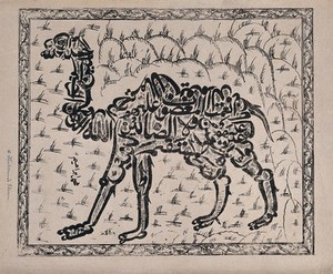 view A camel forming a tughra (cipher). Woodcut by an Indian artist.