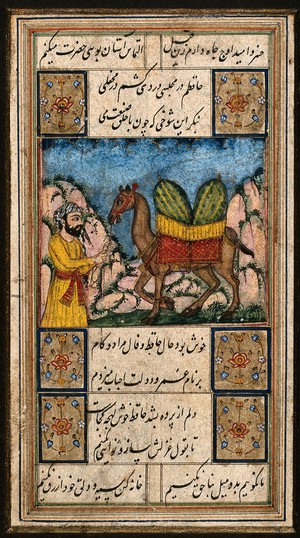 view A camel carrying two large watermelons is lead along by a man dressed in yellow. Gouache painting by a Indian artist, ca. 1750(?).