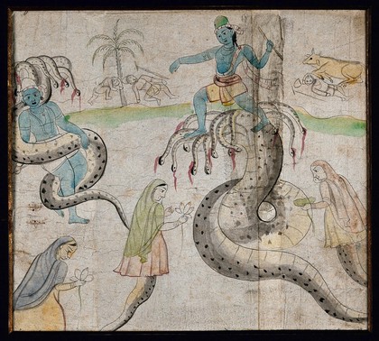 Two Indian deities with many headed snakes. Gouache painting by an Indian artist, ca. 1750(?).