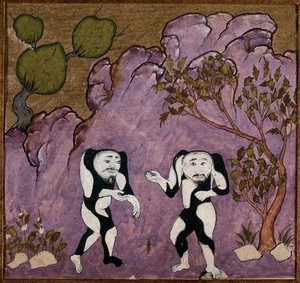 view A pair of fabulous creatures, human in appearance but with no necks and with black and white patterns over their bodies. Gouache painting by an Persian artist, ca. 1600(?).