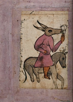 A man with a mule's head riding on a donkey. Gouache painting by an Indian artist(?).