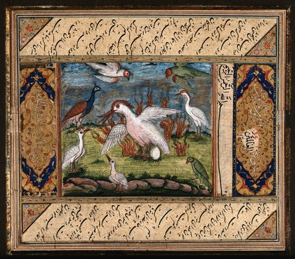 The conference of the birds. Gouache painting by an Persian artist (?).