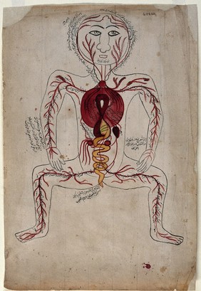 The viscera and the arterial system. Watercolour painting by a Persian artist.