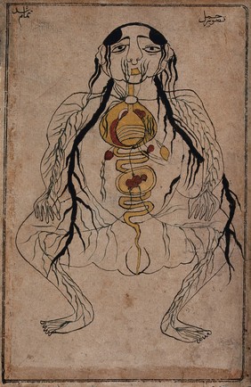 The viscera with a foetus in utero. Watercolour drawing by a Persian artist.