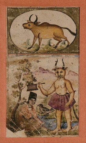 Signs of the zodiac: Taurus, the bull. Gouache painting by an Persian artist.