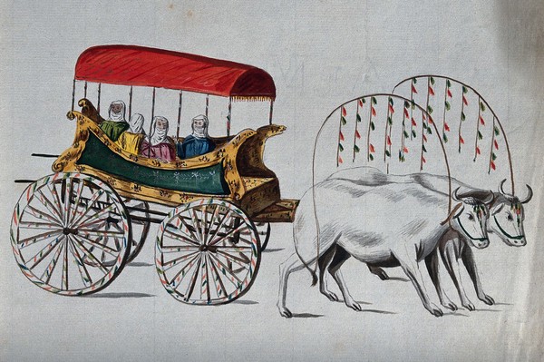 Four Turkish women being carried in an ox-cart. Watercolour.