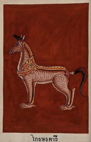 view A monstrous four-footed creature with a horse-like head and feline claws. Gouache.