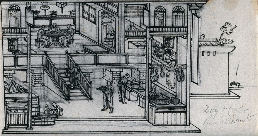 Chinese dog and cat restaurant: diners are shown eating at a table on the first floor, while food is seen being prepared in the kitchen below. Ink drawing, China, 18--?.