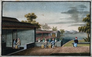 view A tea plantation in China: workers are shown weaving baskets. Gouache, China, 1800/1850.