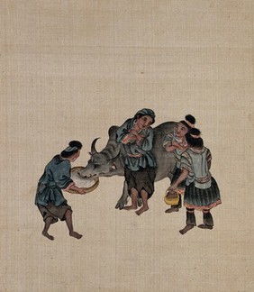 Peasant women feeding a cow. Gouache on cloth, tipped onto silk over boards, Central Asia (?), 18--.