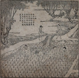 Rice cultivation: four men transplanting rice seedlings (?) in a paddy field, while behind them two men irrigate the field. Woodcut, 1696.