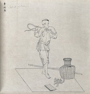 view A Chinese seller of a snake antidote. Drawing by a Chinese artist, ca. 1850.