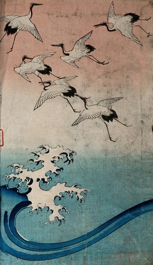 view Six cranes flying upward above a breaking wave. Colour woodcut by Hiroshige, 1858.