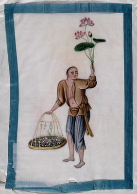 A Chinese florist. Painting by a Chinese artist, ca. 1850.