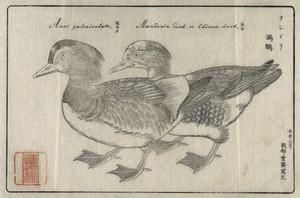 view Japan: a pair of mandarin ducks. Woodcut after Sessai, 1872.