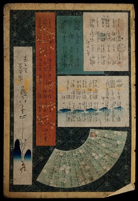 Title page to the set of exact reproductions of forty-eight hawks. Colour woodcut by Sugakudō, 1858.