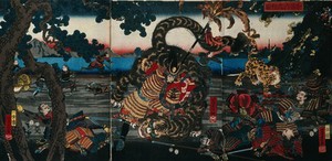 view Katō Kiyomasa struggling with a great tiger. Colour woodcut by Yoshitora, 1855.