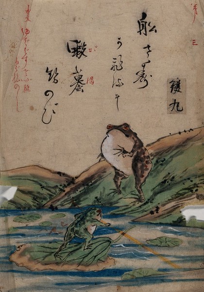 Watercolour painting of two frogs in a lily pond.