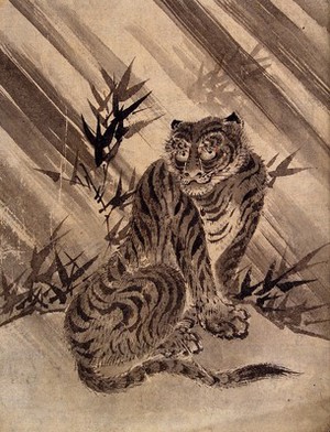 view A tiger resting in front of bamboo trees. Watercolour by a Chinese artist.