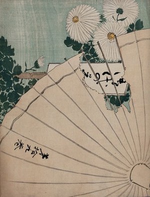 view An album cover: chrysanthemums seen through a torn umbrella. Colour woodcut, ca. 1900.