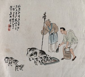 view Two Chinese farmers feed a family of pigs. Gouache painting by a Chinese artist, ca. 1850.