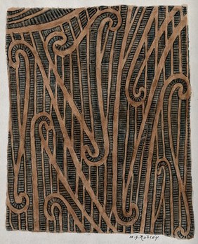 Puhoro: tracing of the chisel cuts used in a Maori design of tattooing on the thigh. Watercolour by H.G. Robley.