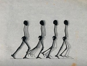 view Four skeletons in motion. Lithograph, 18--.