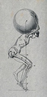 A man is carrying a sphere on his shoulders; showing the bones of the right leg and the right arm. Steel engraving.