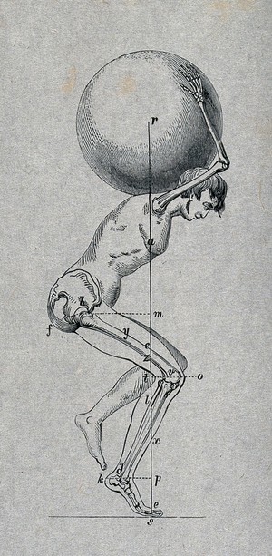 view A man is carrying a sphere on his shoulders; showing the bones of the right leg and the right arm. Steel engraving.