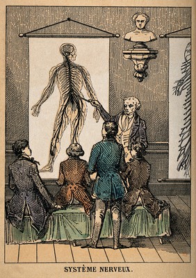 Ten demonstrations of digestion, blood circulation, breathing, bone structure, smell, hearing, sight, touch, taste, the nervous system, and muscle structure. Coloured lithograph by C. Bethmont, ca. 1860 (?).