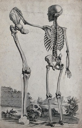 A skeleton standing in a landscape, reaching out to touch the pelvis of a standing lower limb of much greater size. Engraving  by W. Cheselden, 1733.