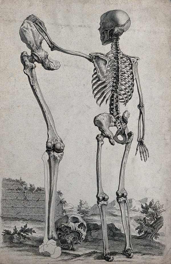 A skeleton standing in a landscape, reaching out to touch the pelvis of ...