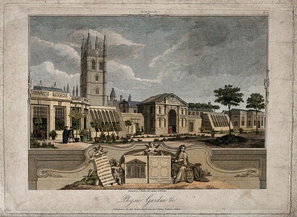 Botanic Garden, Oxford: panoramic view of the greenhouses with a small ornamental detail of the gates and plans. Line engraving by J. Skelton, 1820, after B. Green.