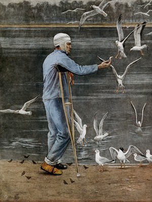 view The blue badge of courage: a soldier wounded in World War I holding crutches with a bandage over his head is feeding sea-gulls by a lake. Colour process print after E. Canziani, ca. 1917.