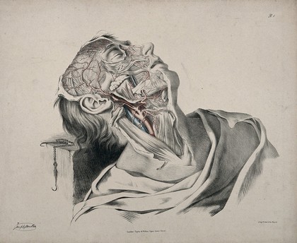 The circulatory system: dissection of the neck, face and head of a man, with arteries, blood vessels and veins indicated in red and blue. Coloured lithograph by J. Maclise, 1841/1844.